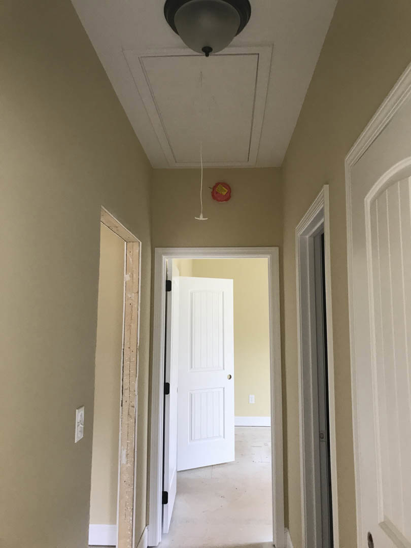 Hallway with white paneled doors, light-colored plaster walls, crown molding, ceiling-mounted light fixture, and hardwood flooring