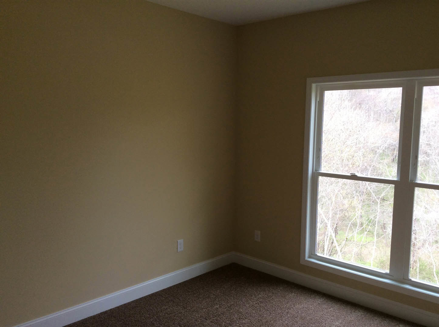 Bright room with large window framed by white plaster walls, beige carpet flooring, and leafy trees visible outside