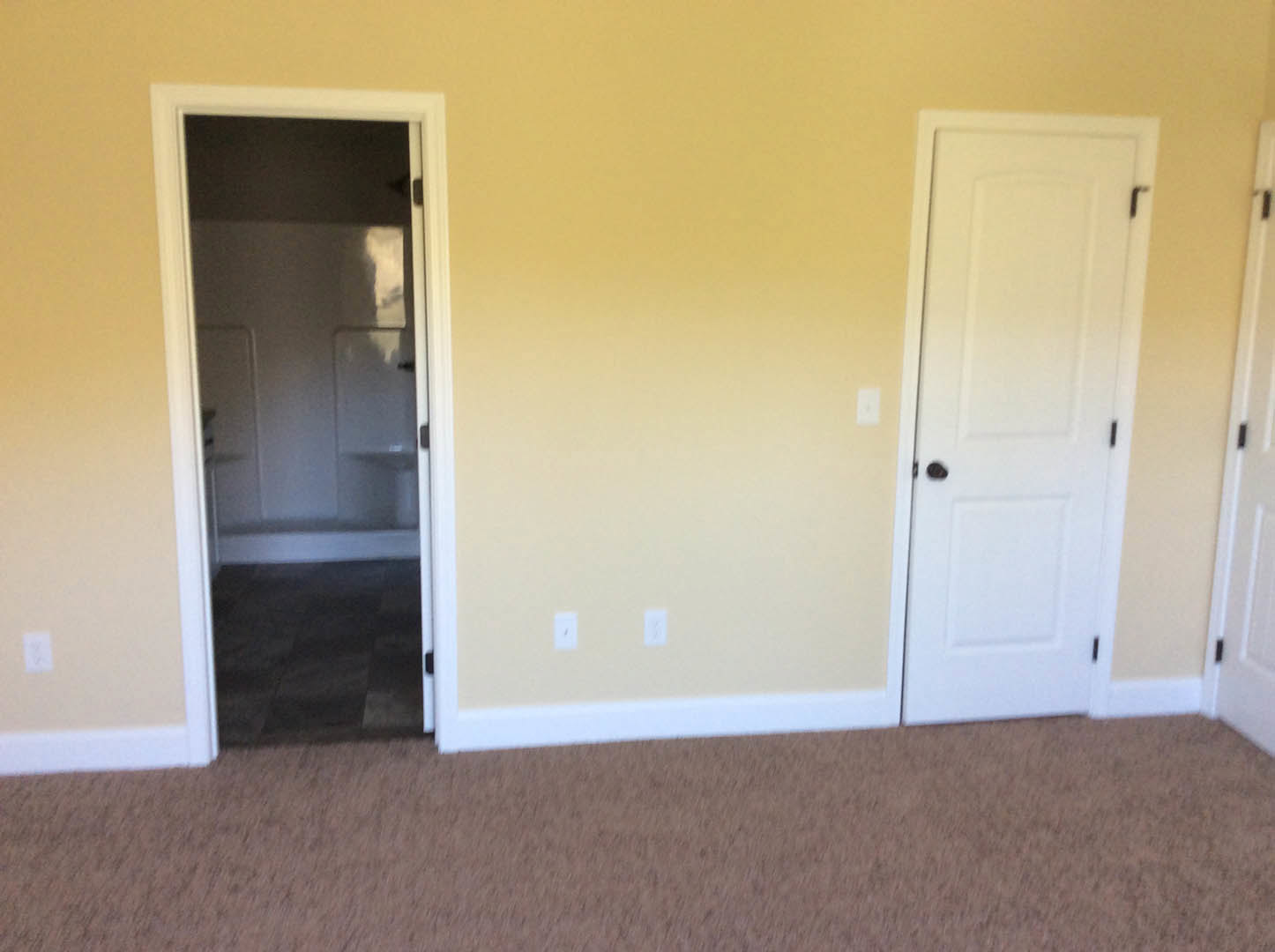 White paneled door with black hardware opening onto dark tiled floor, adjacent to white plaster walls and shower enclosure