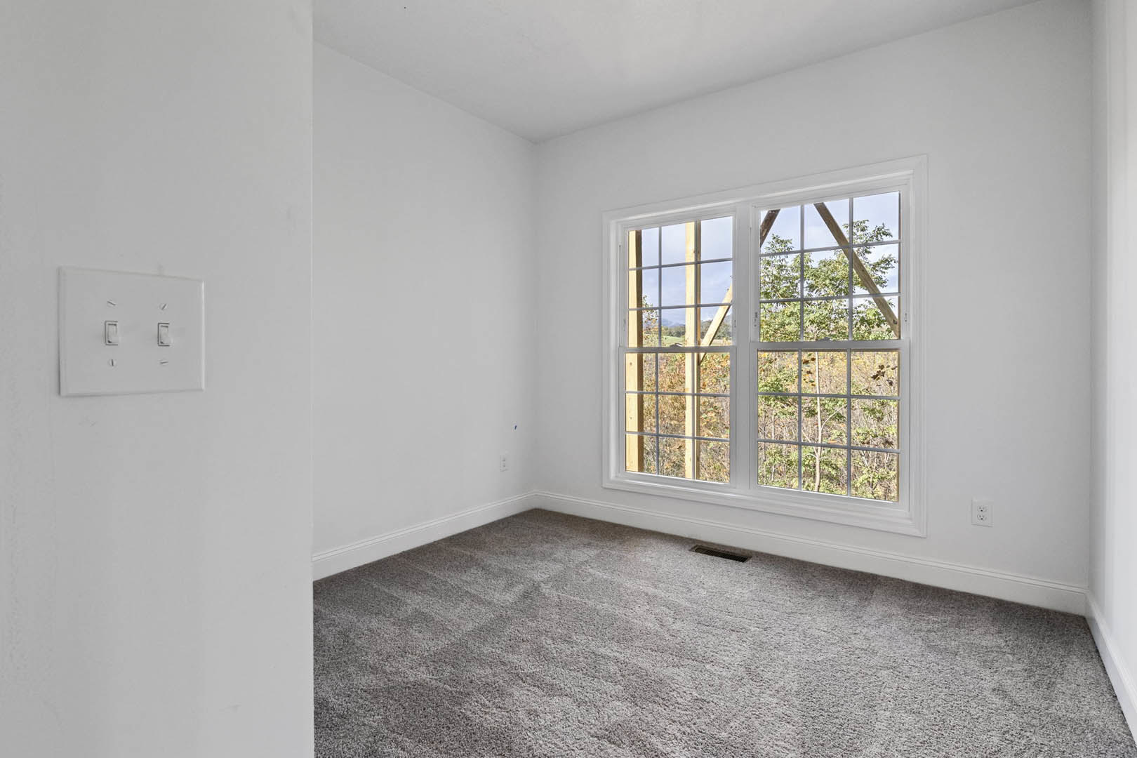 Bright room with multi-pane window overlooking a field, grey carpet flooring with central vent, white plaster walls, and double light switch.