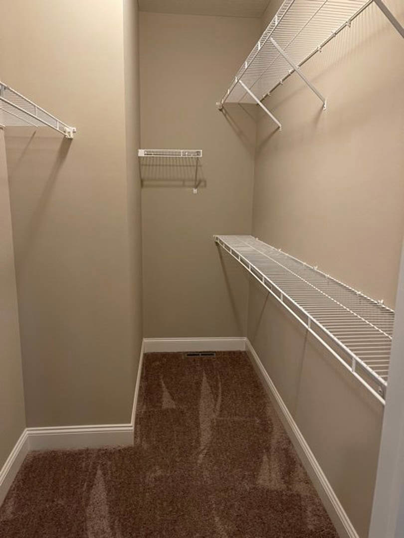 Walk-in closet with white shelves, carpeted floor, white walls, and a white metal curtain rod mounted near the ceiling