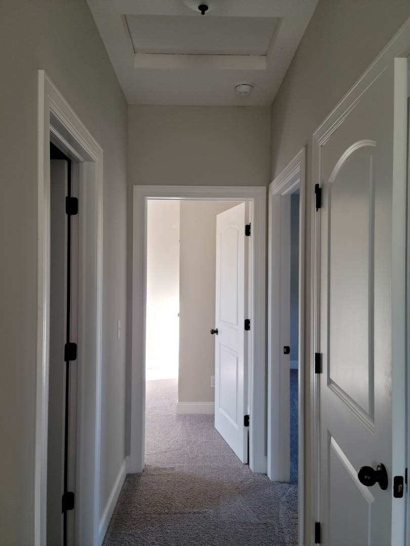 Hallway with white paneled doors featuring black knobs, carpeted floor, white walls with molding, and ceiling-mounted light fixture