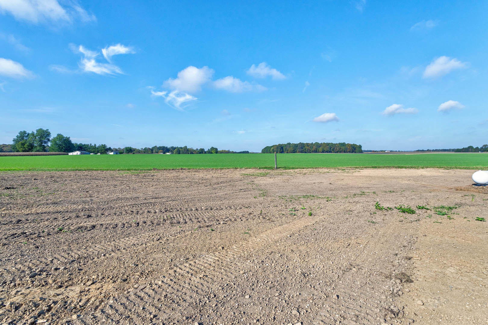 Dirt field bordered by trees under a blue sky with scattered white clouds, white object resting on soil