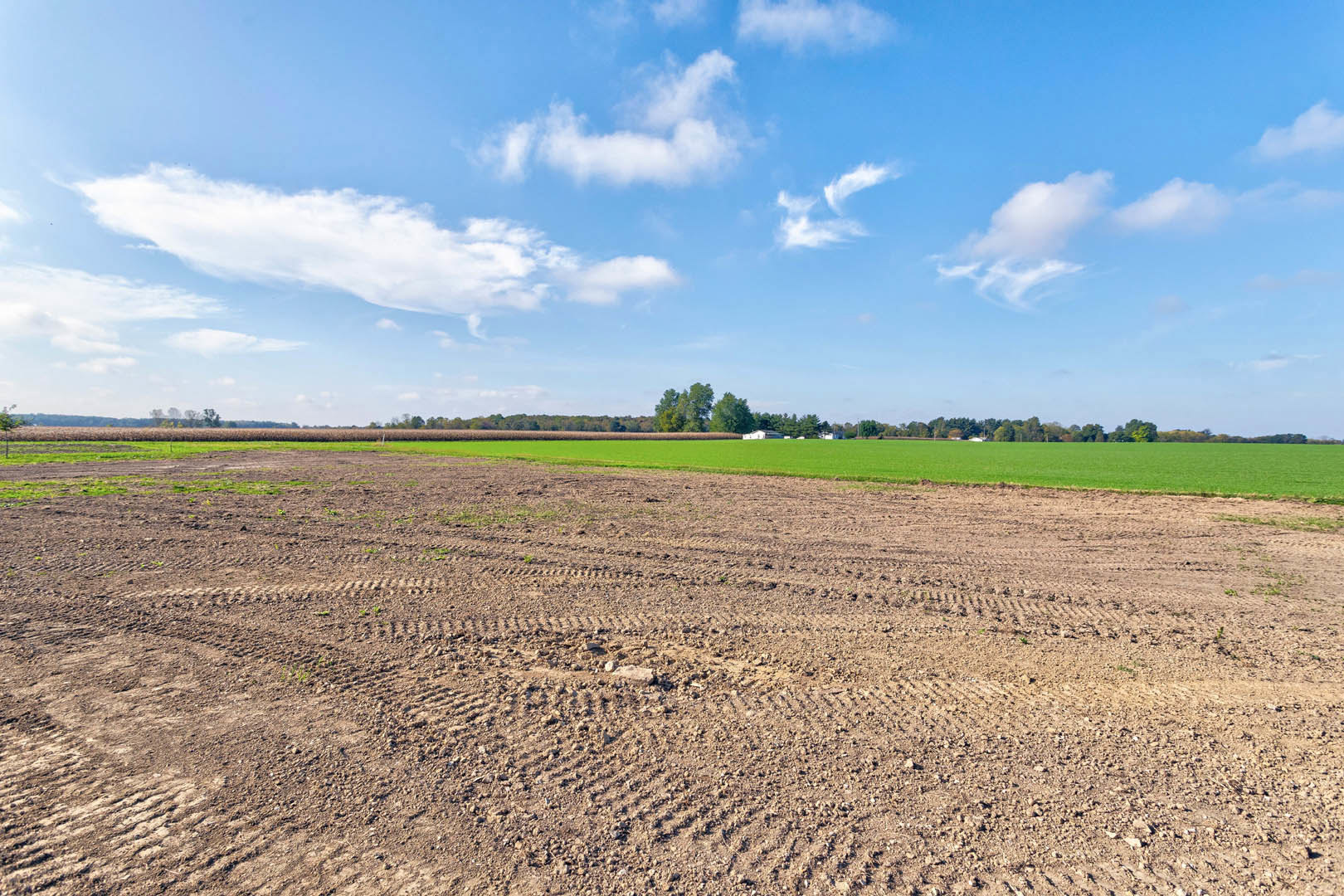 Dirt field bordered by lush green grass and mature trees under a partly cloudy blue sky