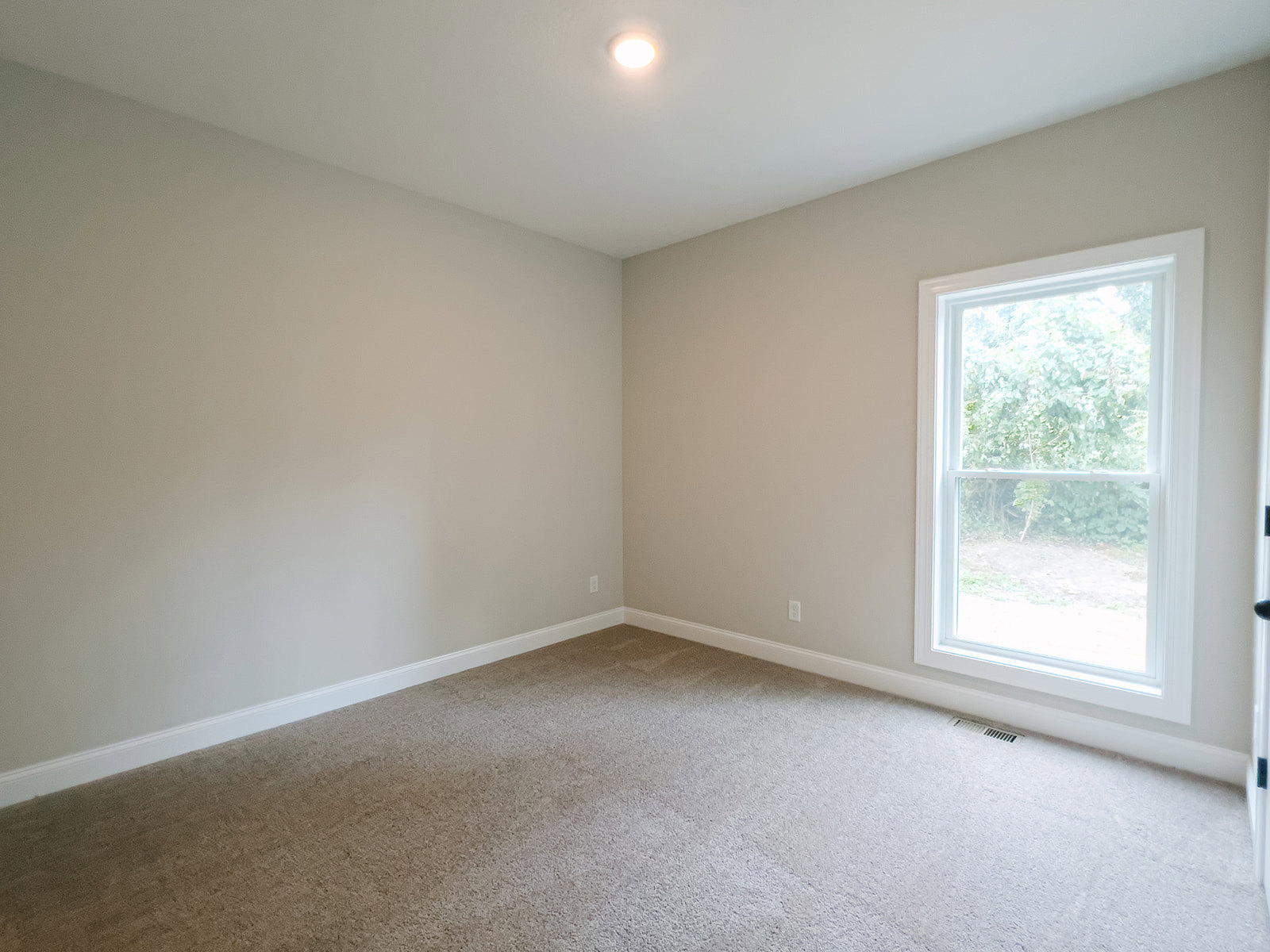 Carpeted room with white walls, large window overlooking trees, recessed ceiling light, and visible corner.