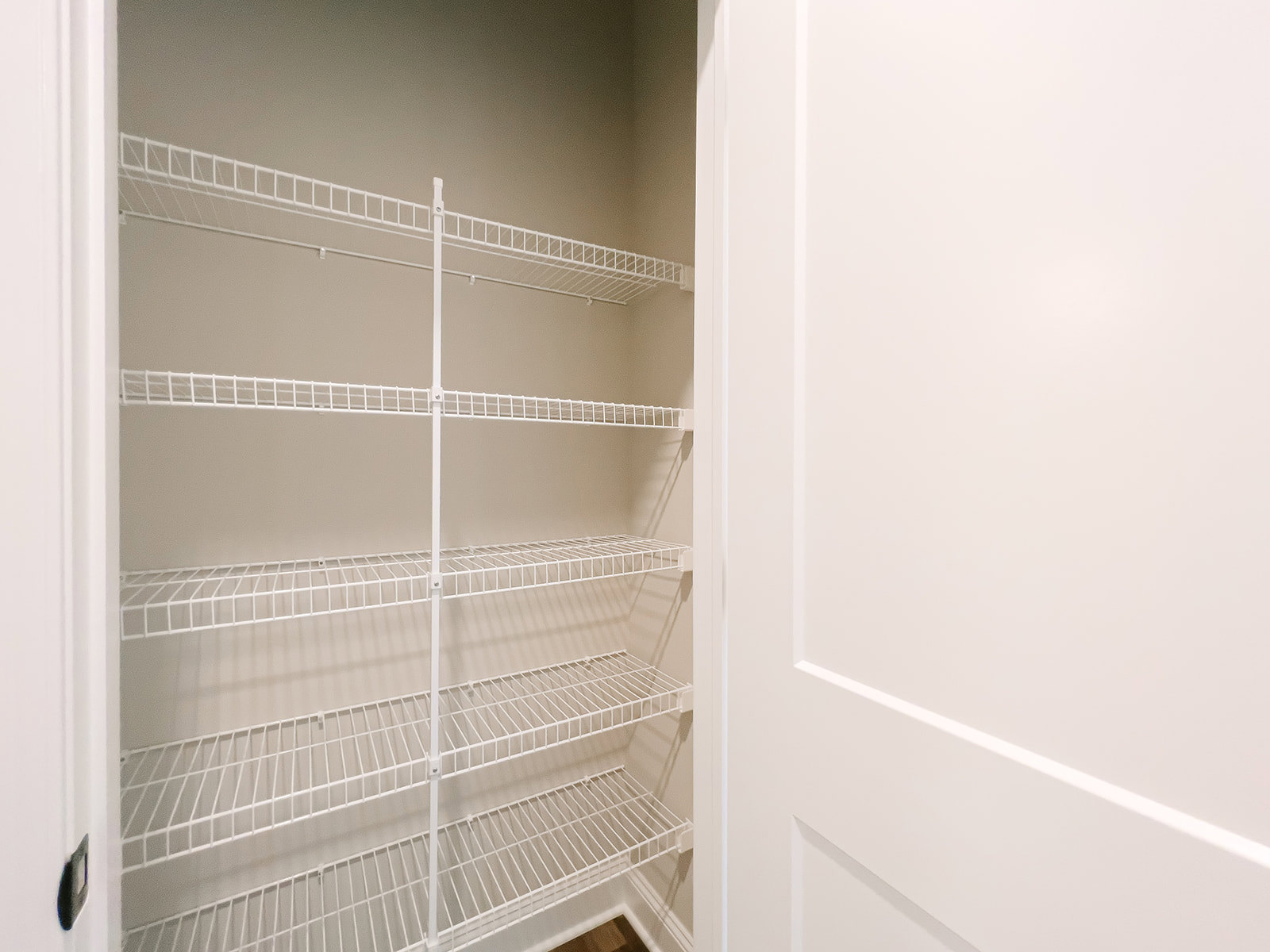White built-in shelves and a white ladder with metal bar mounted on a closet wall, adjacent to a white door with matching trim.