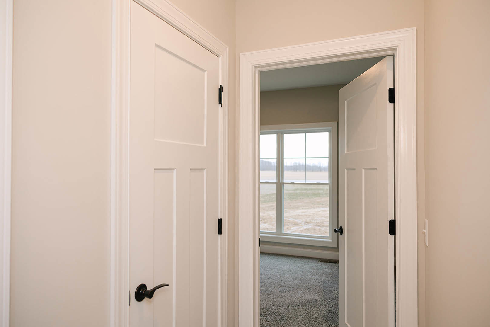 White paneled door with silver handle open to a carpeted room, window framing view of grassy field, white trim and molding visible