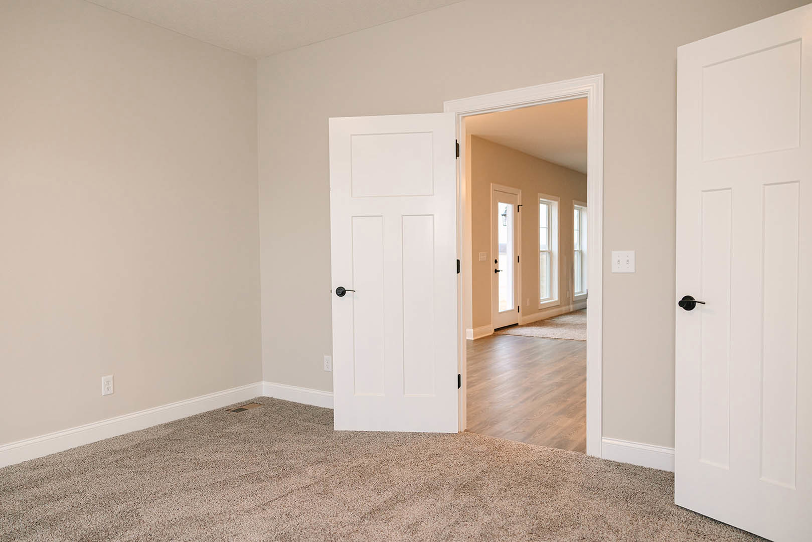 White paneled door with black handle open onto beige carpeted floor, white walls with light switch and baseboard molding