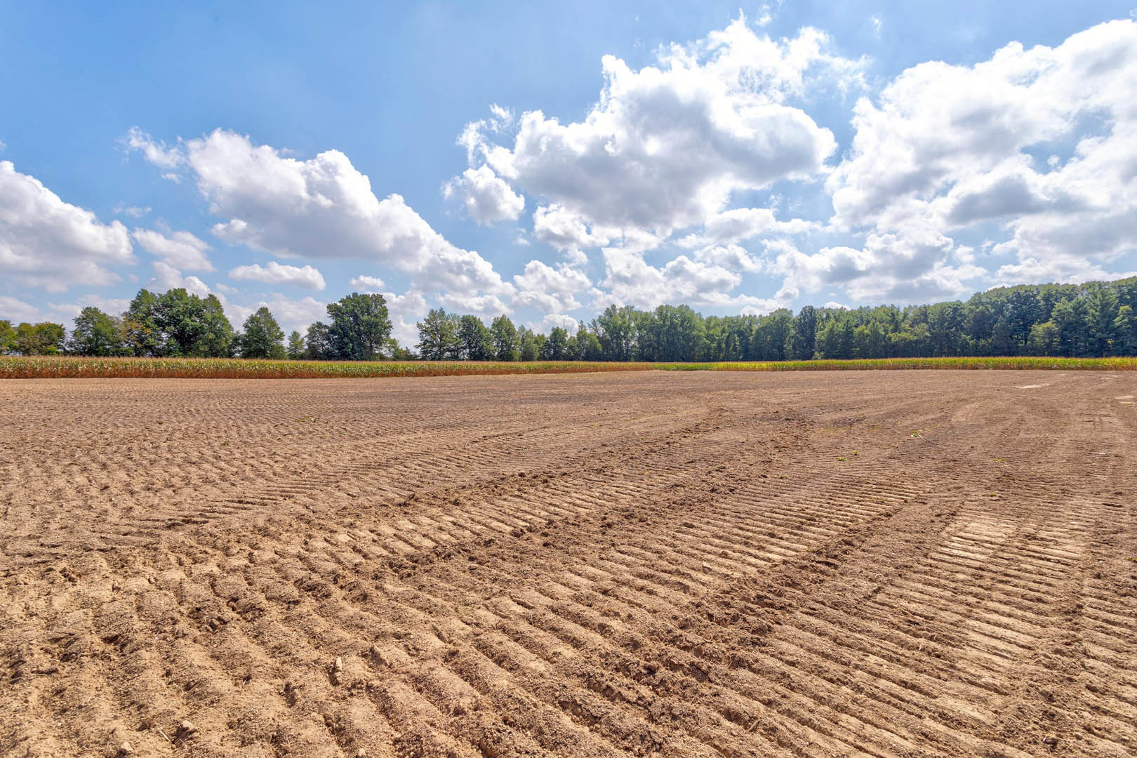 Wide grassy field with tractor tracks, mature trees lining the background, blue sky with scattered clouds overhead