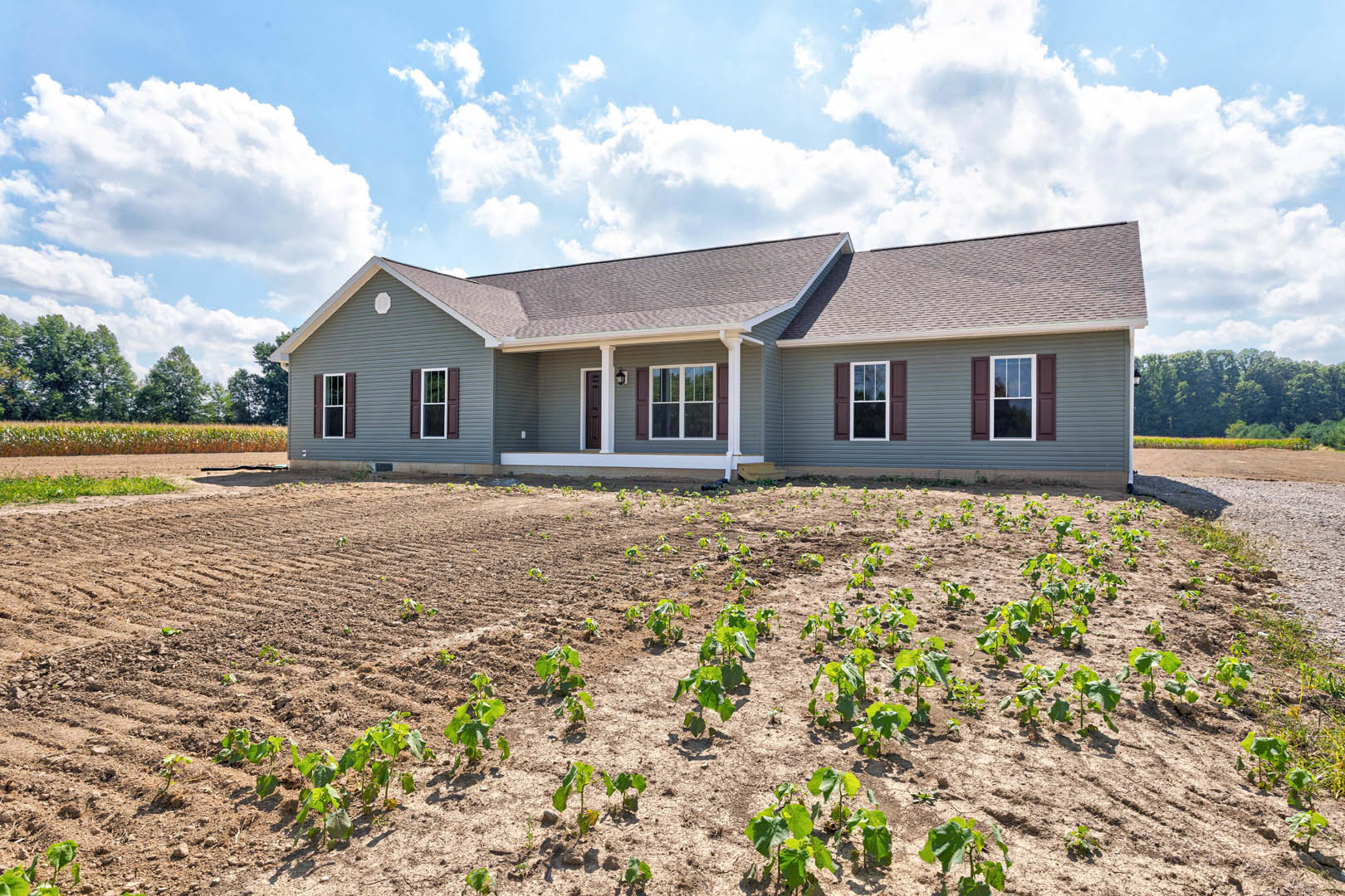 Two-story house with white-framed window and covered porch, surrounded by a field of green plants and dirt, grassy lot in foreground, trees and clouds in the background.