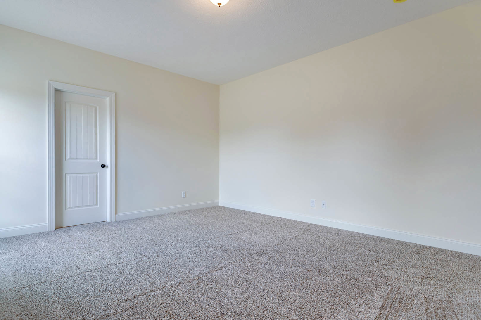 Carpeted room with white walls, white door featuring vertical panels, ceiling light fixture, simple base molding