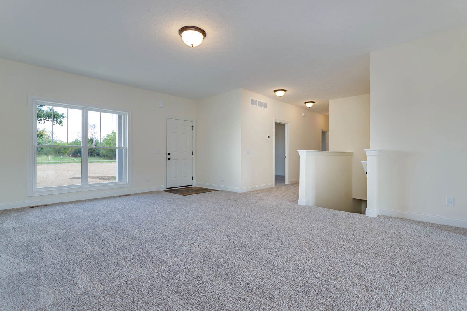 Carpeted room with a white door featuring black knobs, ceiling light fixture, and window overlooking a dirt field