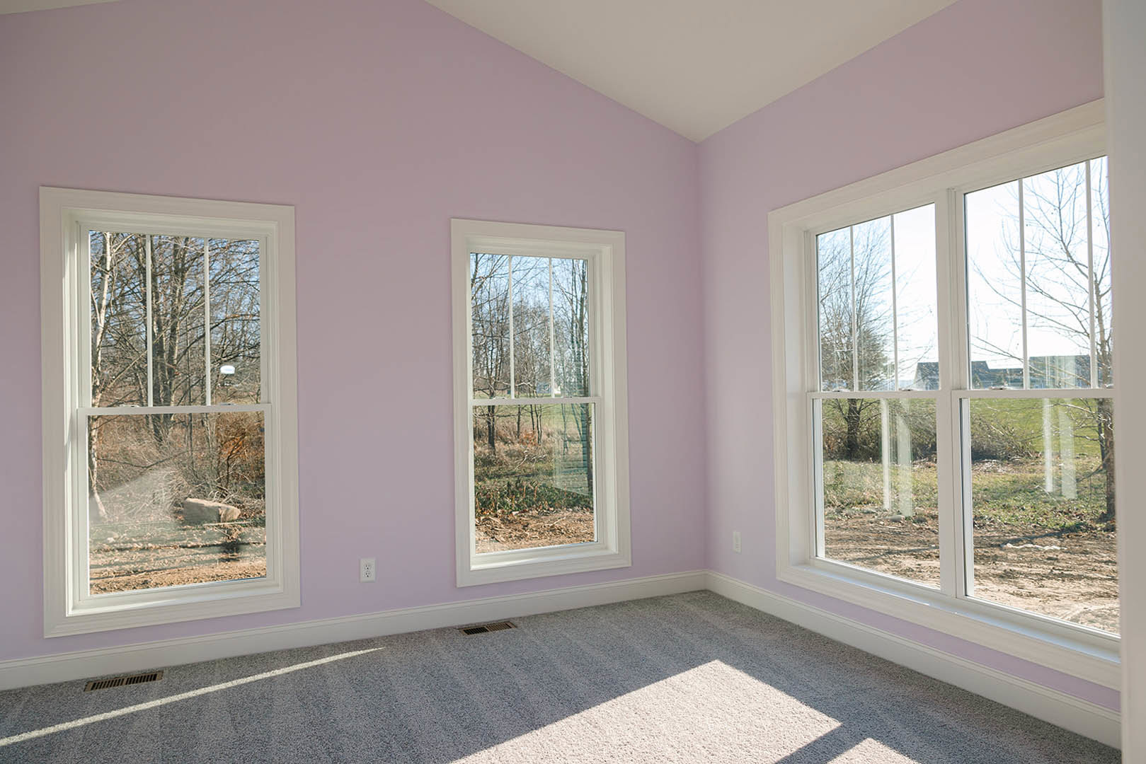 Carpeted room with large windows, white trim, and views of green trees and grass field outside