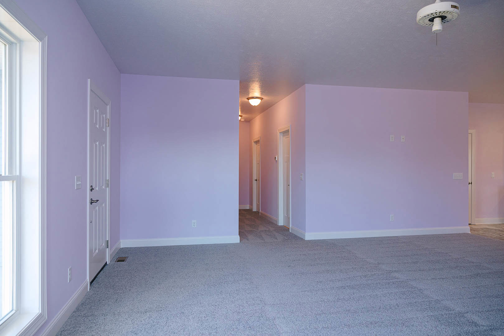Purple-walled room with matching carpet, open white door, window, shower head, and wall featuring light switches and outlets