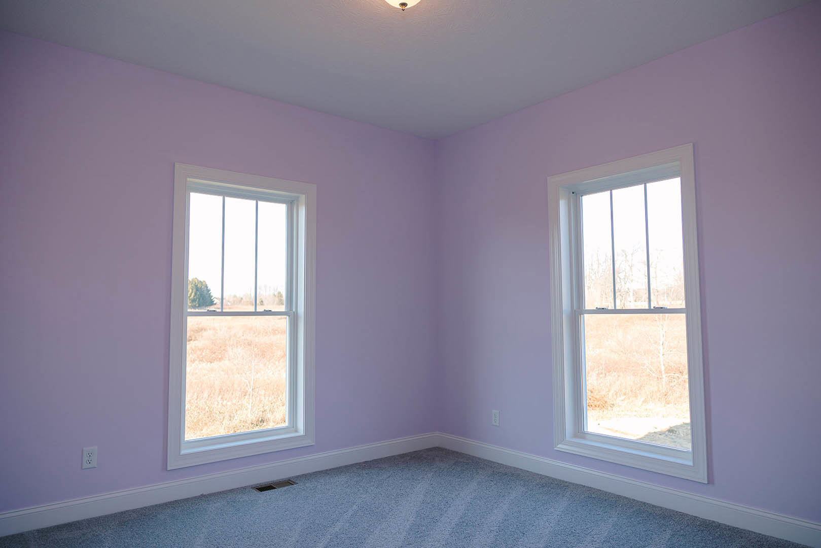 Bright room with two large windows, white plaster walls, neutral carpet flooring, and window blinds; outside view includes grassy field and distant trees.