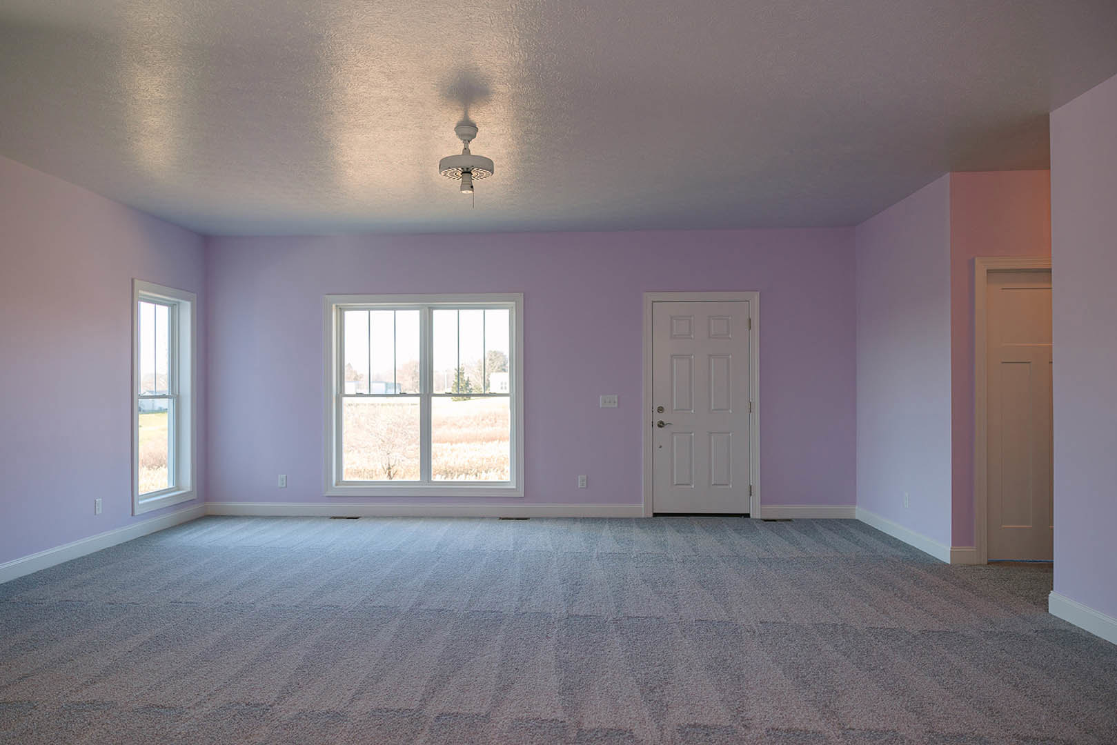 Bright room with beige carpet, white framed window overlooking a grassy field, and white door with silver handle.