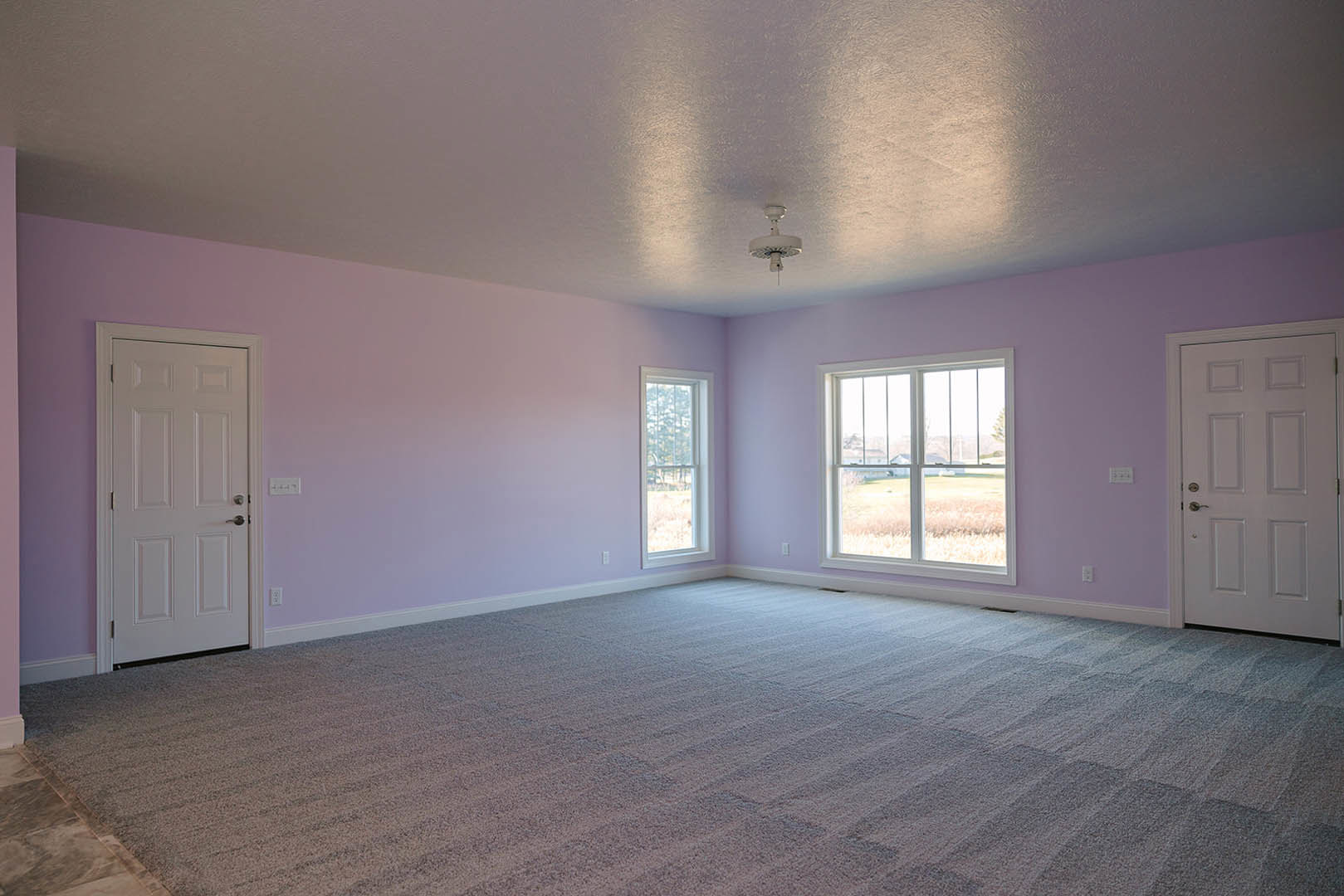 White door with silver handle, two windows overlooking field and trees, purple carpet flooring, white plaster walls