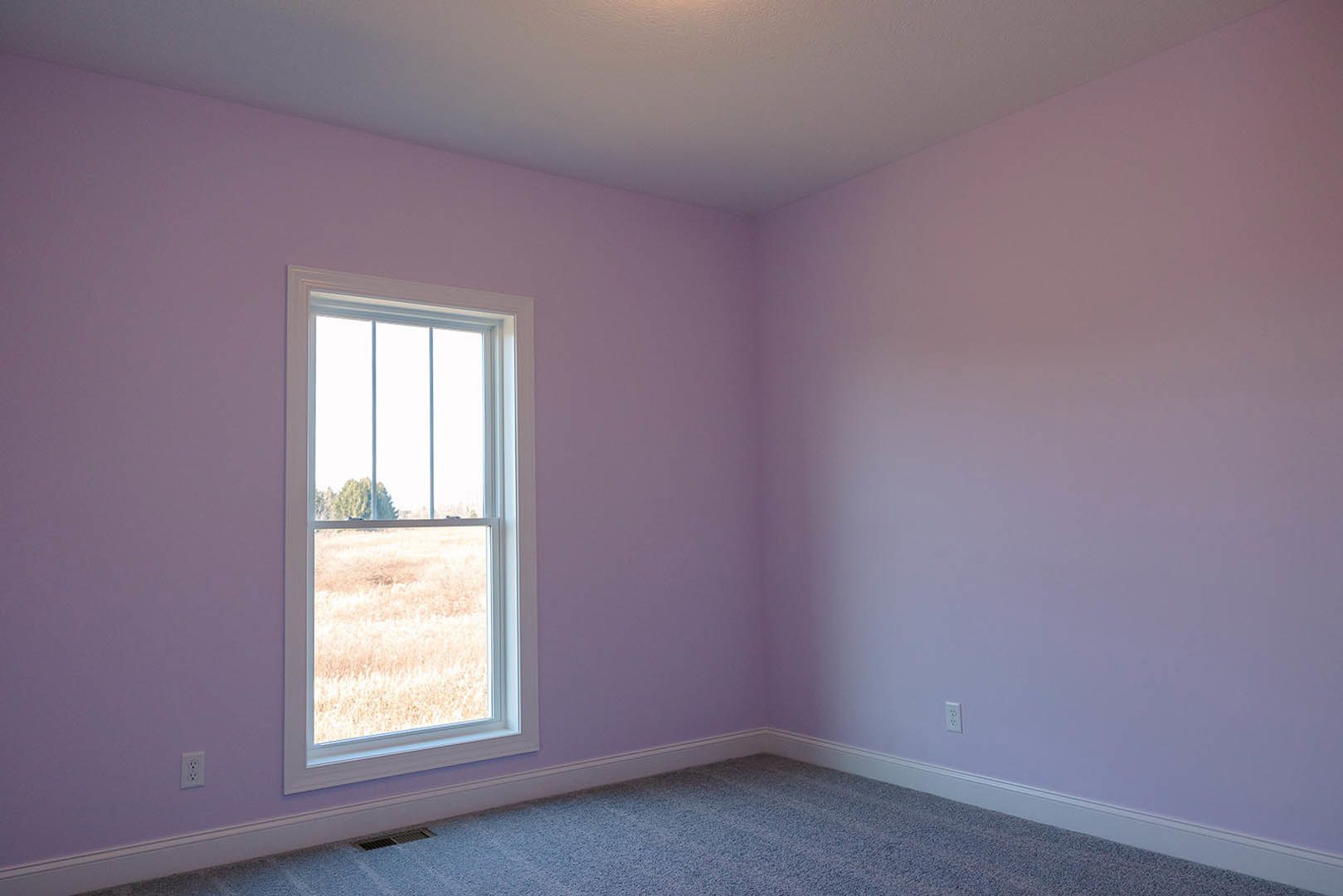 Purple-walled room with white ceiling, carpeted floor, and large window overlooking grassy field and distant tree
