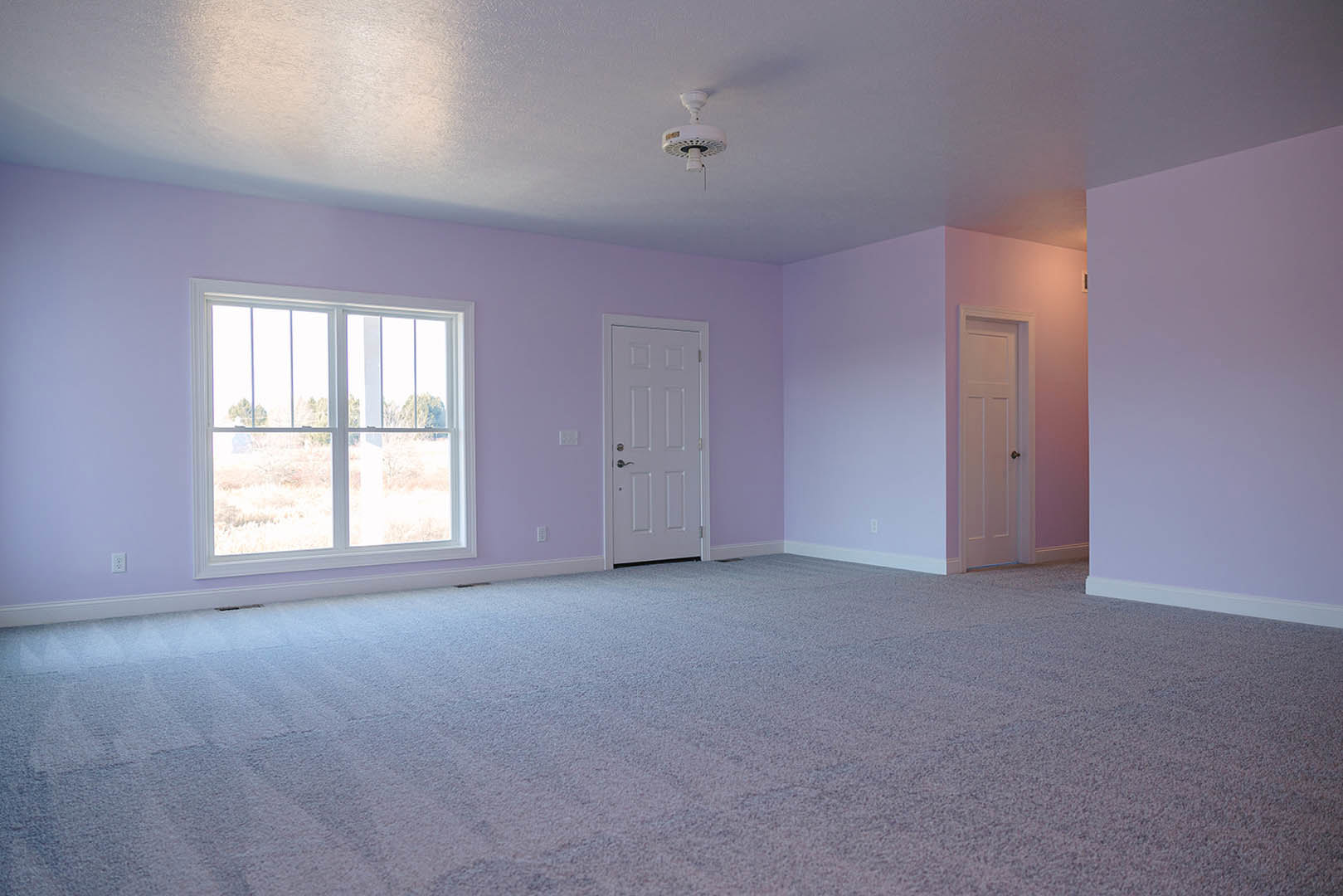 Bright room with light-colored walls, white door with silver handle, window overlooking grassy field, white ceiling light fixture, smoke detector, neutral flooring