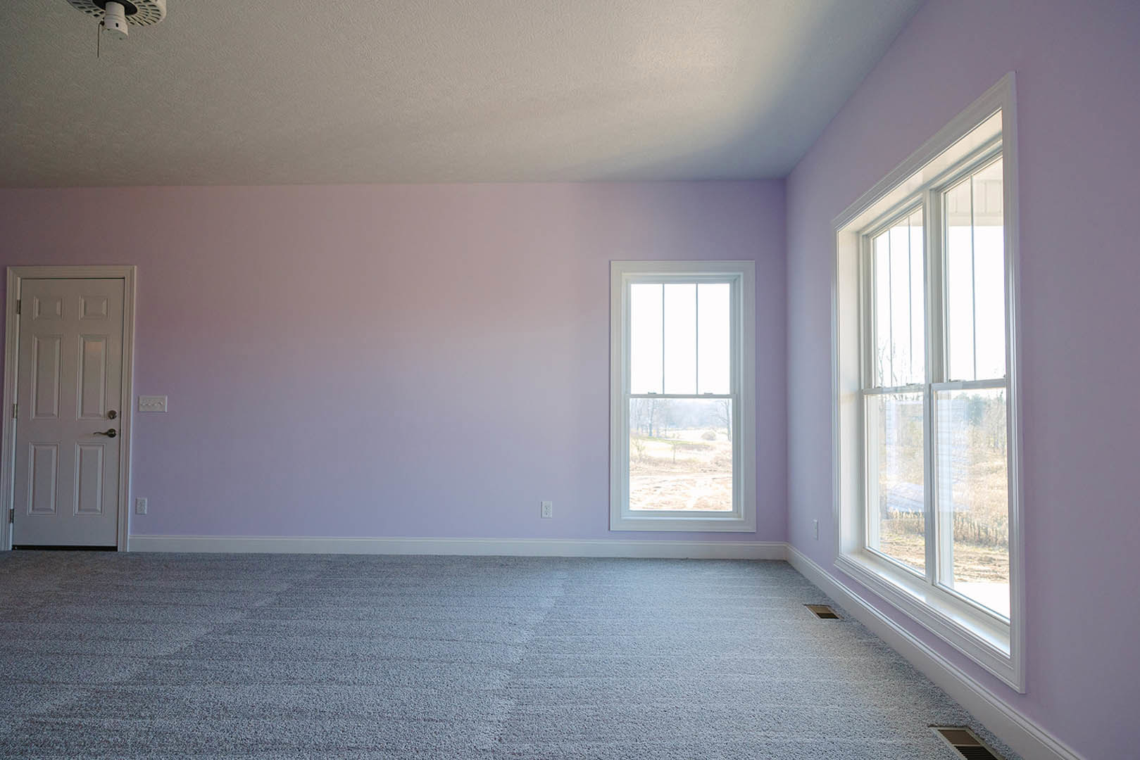 Neutral-toned carpeted room with white walls, large window overlooking grassy field, white door with silver handle, simple baseboard molding, and ceiling light fixture
