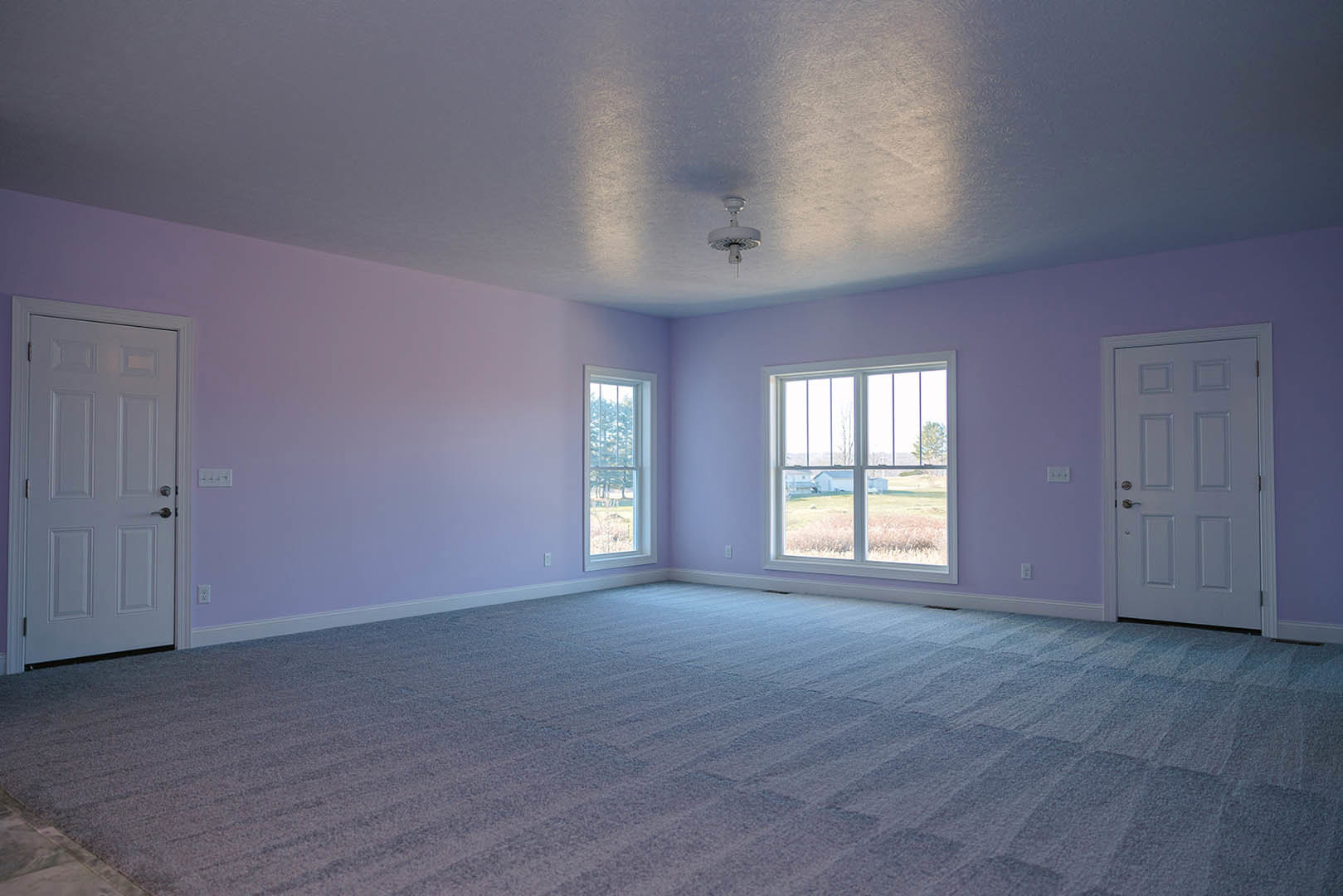 Purple-walled room with matching carpet, white door featuring silver handle, window overlooking grassy field and trees