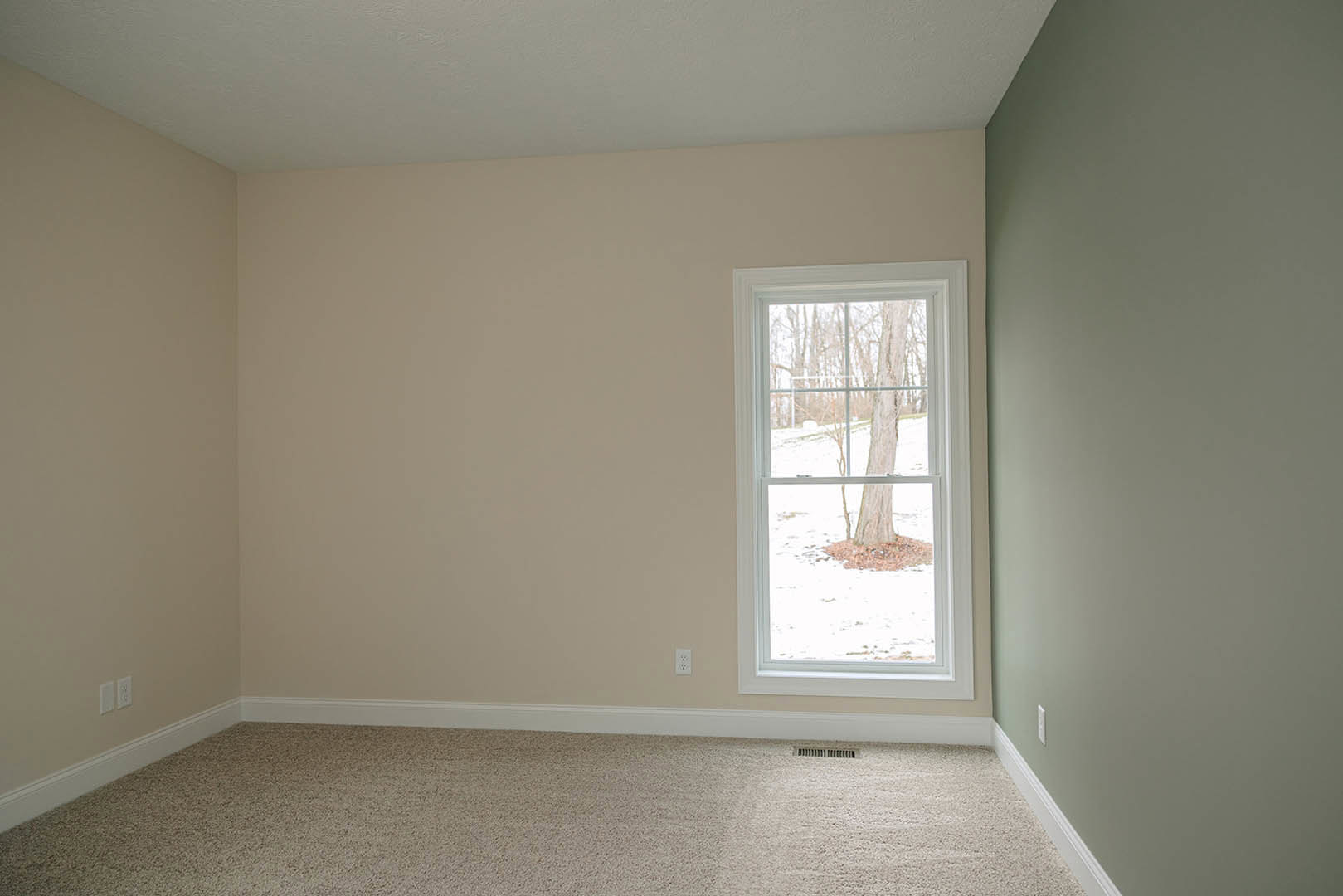 Carpeted room with white walls, large window framed in white molding, snowy tree trunk visible outside