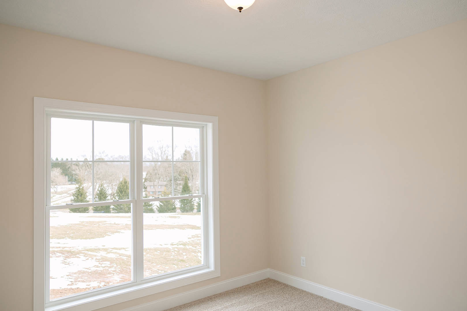 Carpeted bedroom with large window overlooking trees, white walls, and simple molding