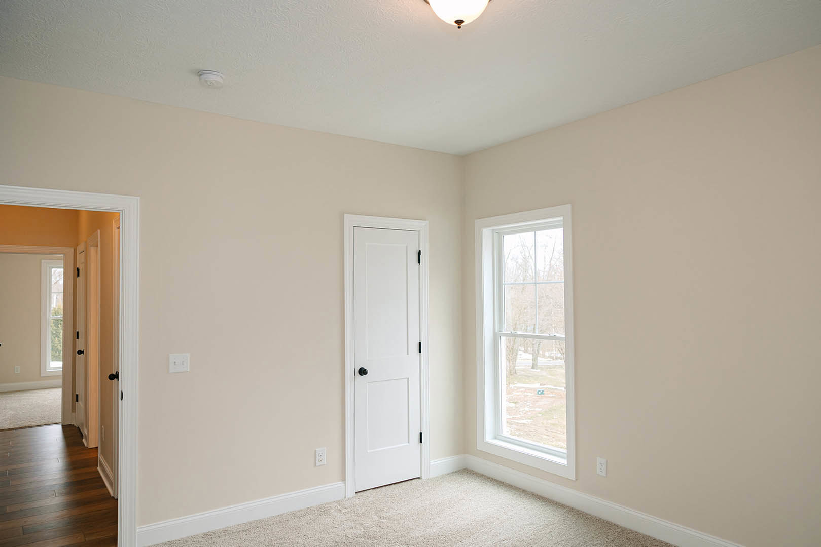 White paneled door with black knob, large window overlooking trees, hardwood flooring with white area rug, white plaster walls and crown molding, ceiling light fixture