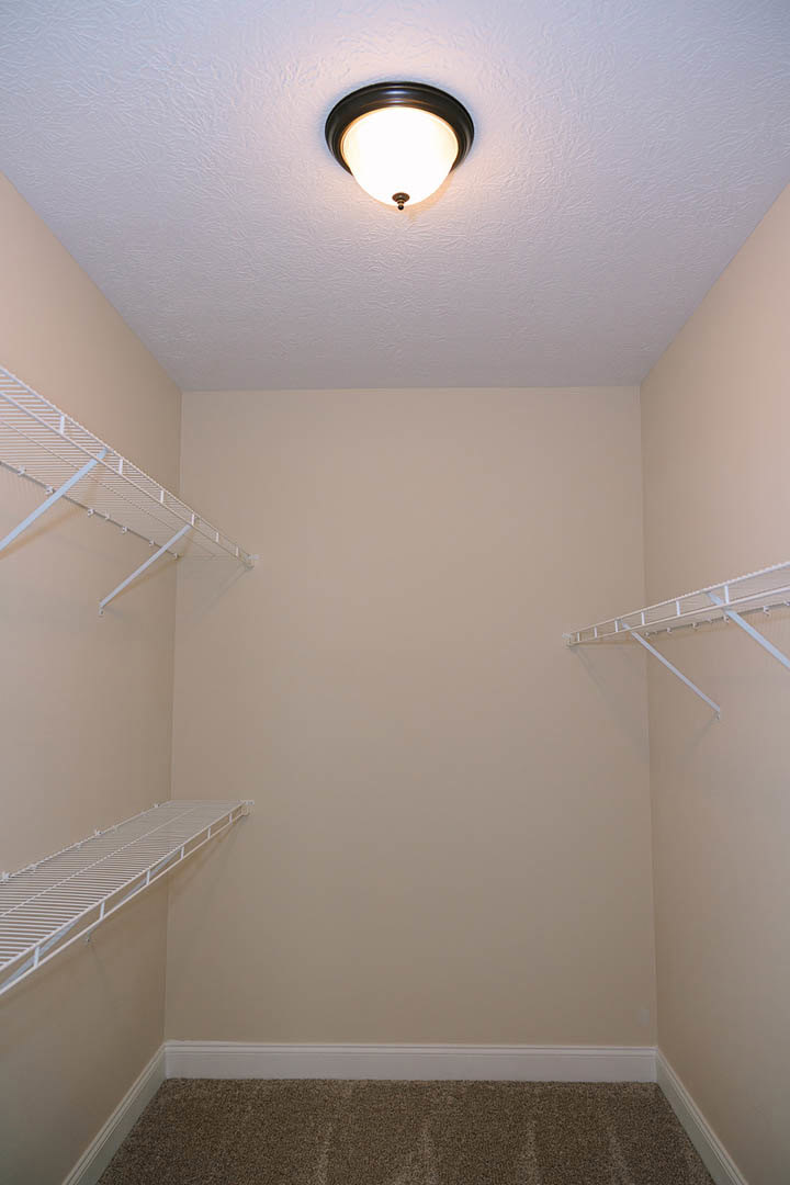Walk-in closet with white built-in shelves, carpeted floor, and ceiling light fixture