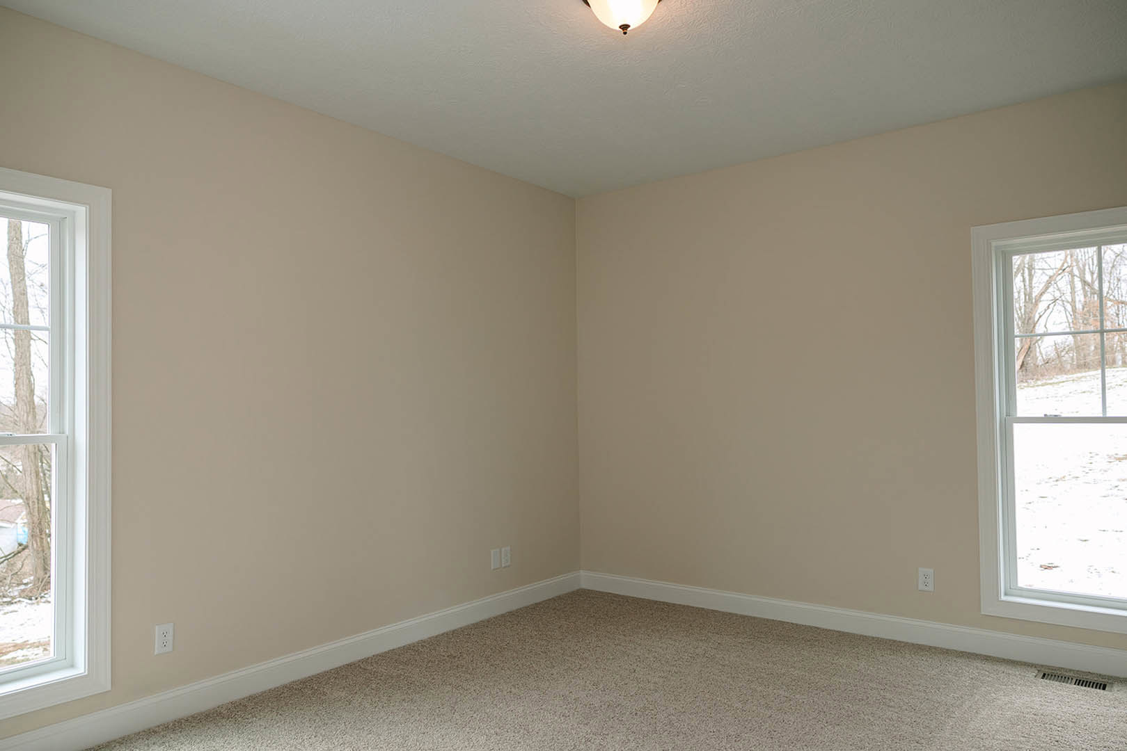 Beige-walled room with white baseboards, carpeted floor, white-framed window overlooking snowy field, and ceiling-mounted light fixture