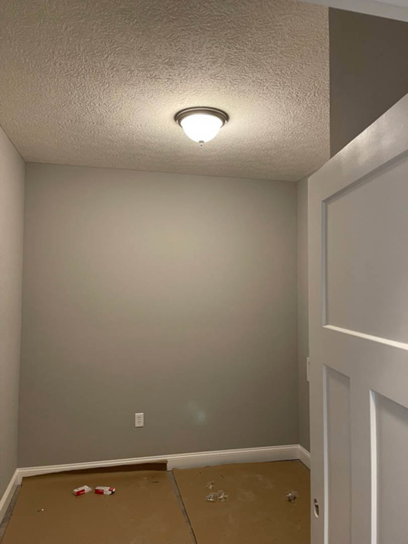 Modern ceiling light fixture above hardwood floor, white paneled door casting shadow on plaster wall, crown molding along ceiling, person standing near doorway