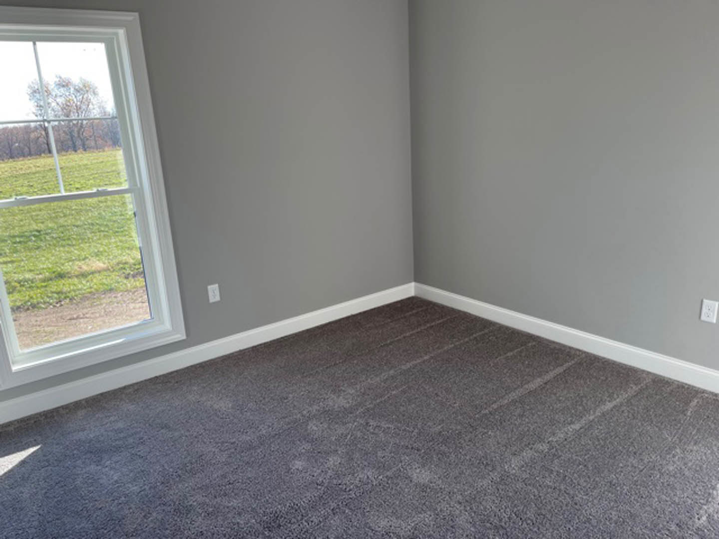 Grey carpeted floor in a room with light grey walls, large window overlooking grass and trees, recessed ceiling light visible