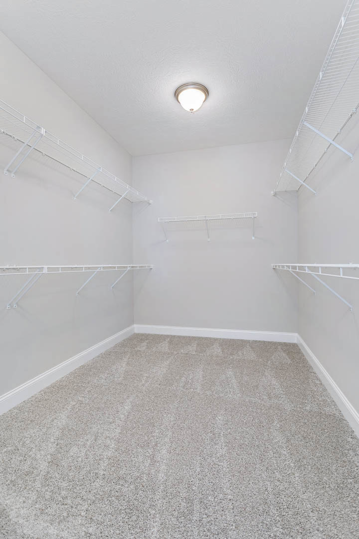 Empty walk-in closet with carpeted floor, white shelving along walls and ceiling, and a ceiling-mounted light fixture.