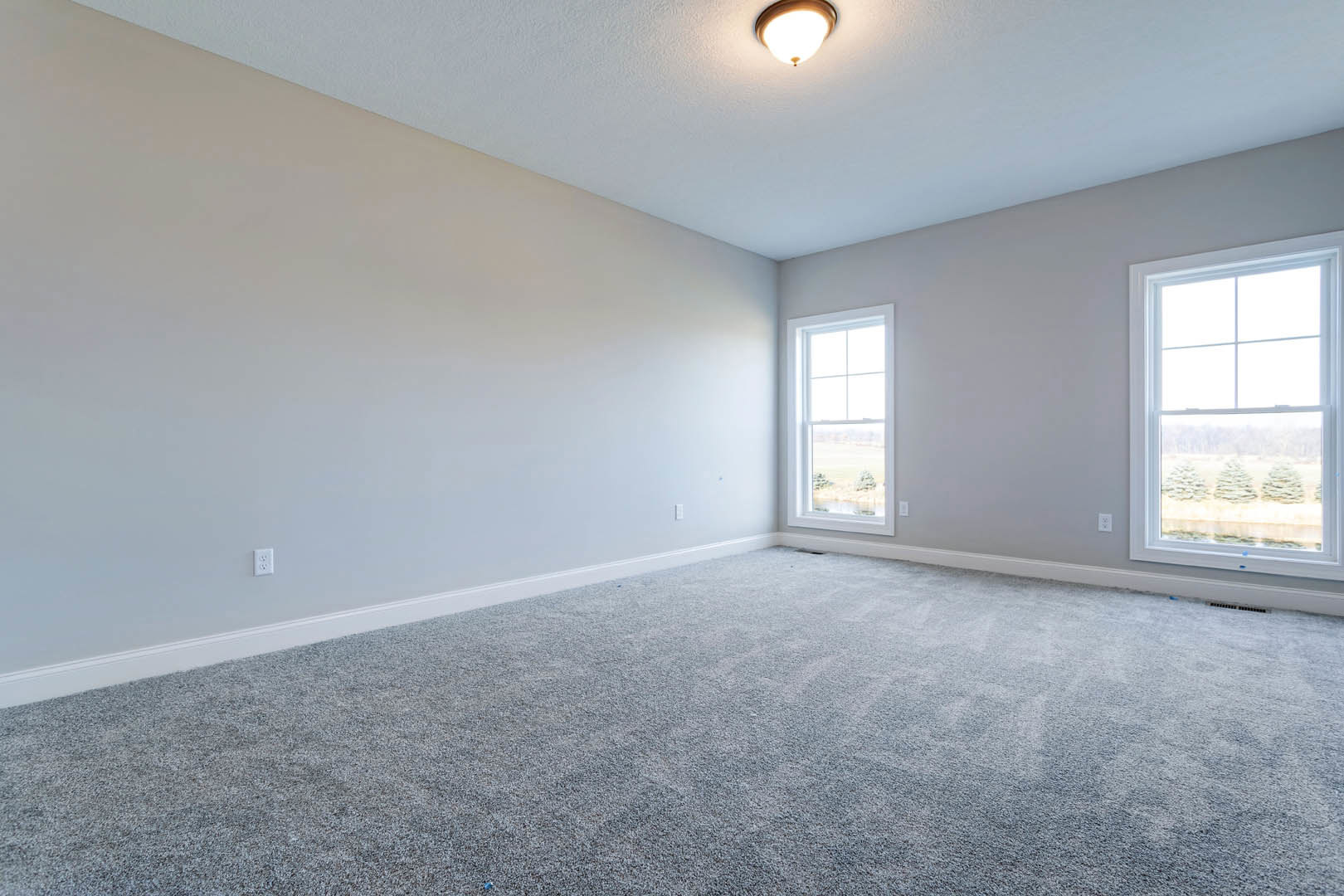 Carpeted room with white walls, ceiling light fixture, large window framed by molding, view of green trees and open field outside