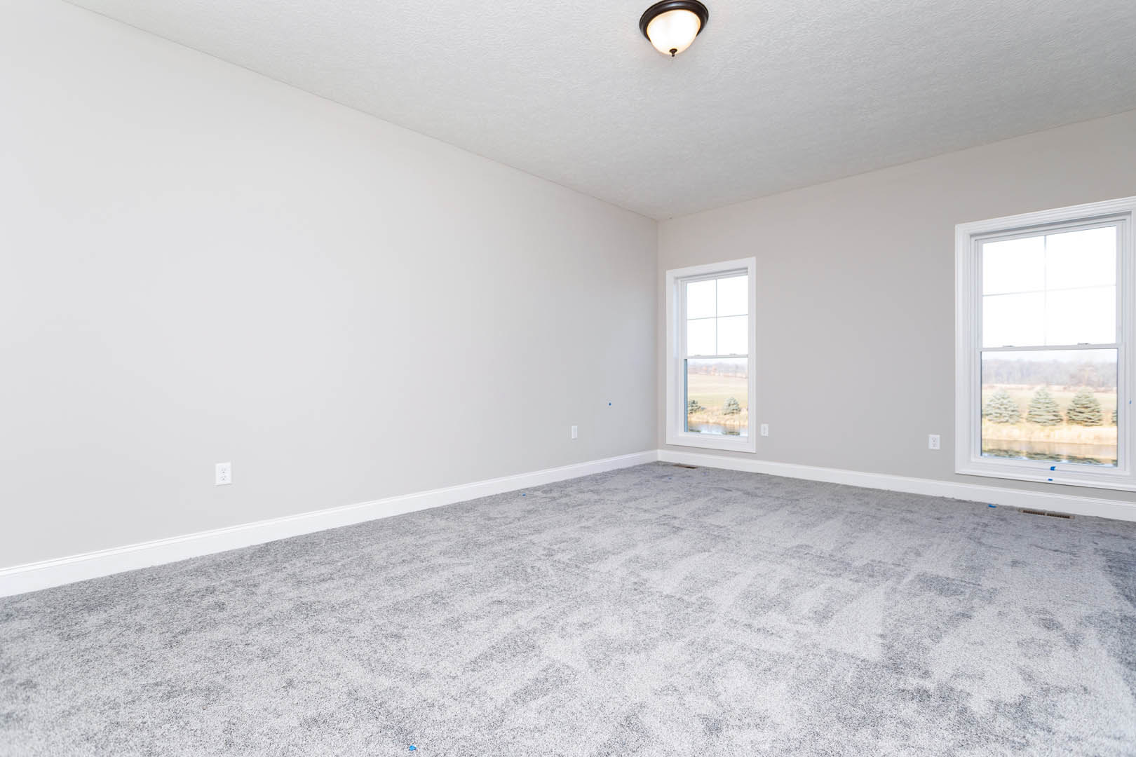 Carpeted room with white walls, ceiling light fixture, large window showing trees outside, simple molding along ceiling and floor.
