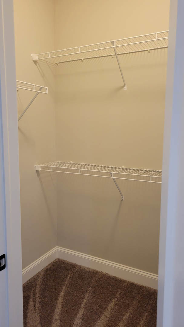 Walk-in closet with white built-in shelves, carpeted floor, white metal hanging rod, and white wall with subtle plaster finish
