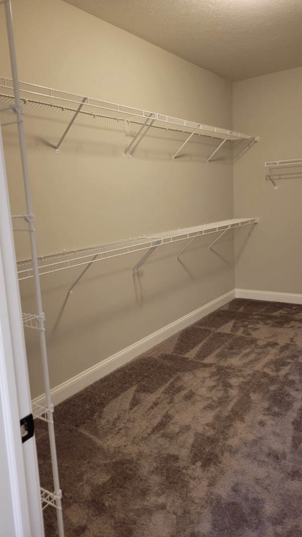 Carpeted closet with white built-in shelves and plaster walls