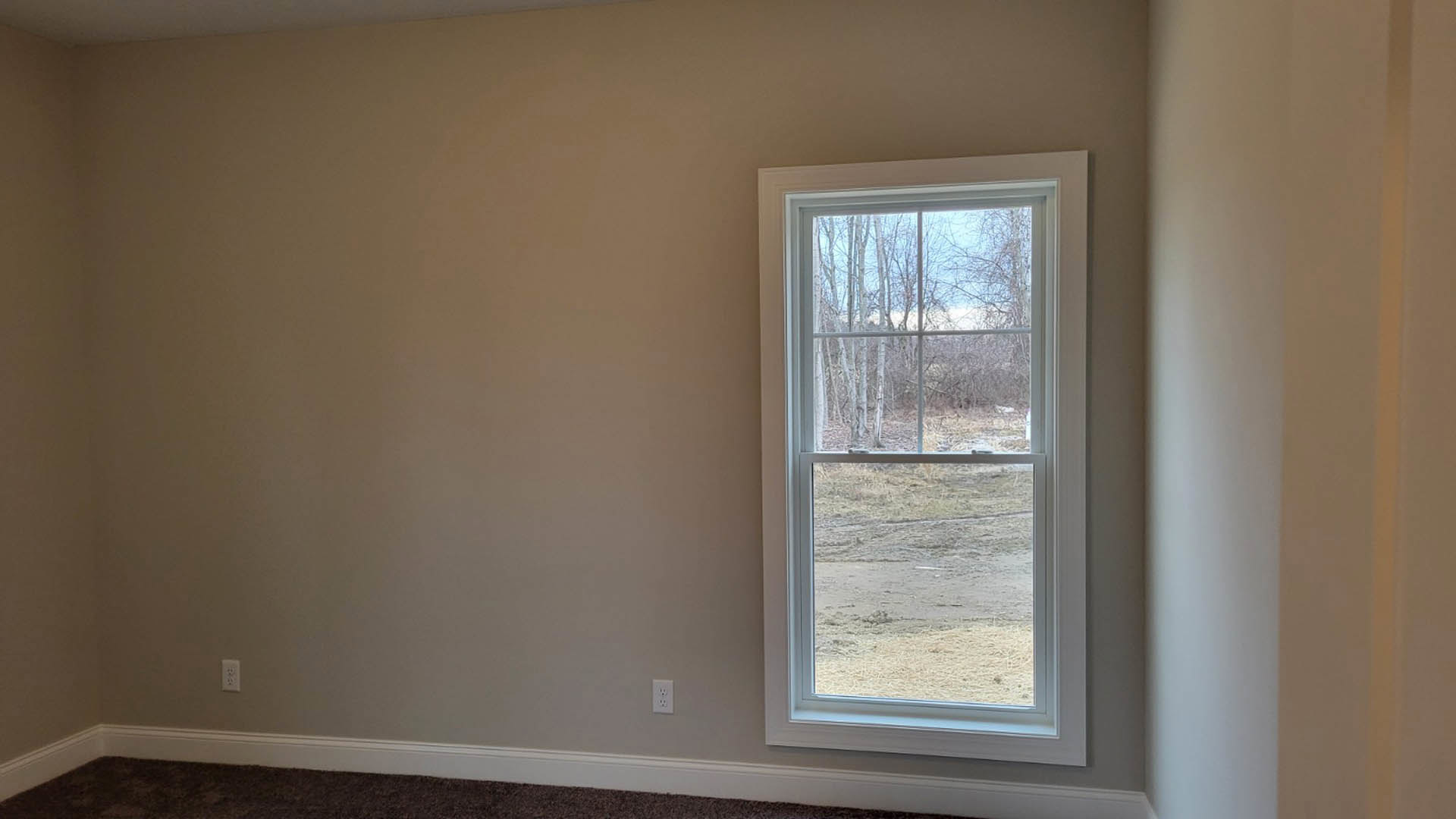 Large window framed by white plaster walls, offering a view of green trees and a hay field; beige carpet flooring visible in foreground, window blind partially drawn.