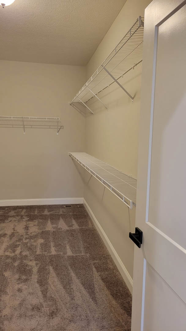 Carpeted closet with built-in white shelves, white walls, and a black door handle