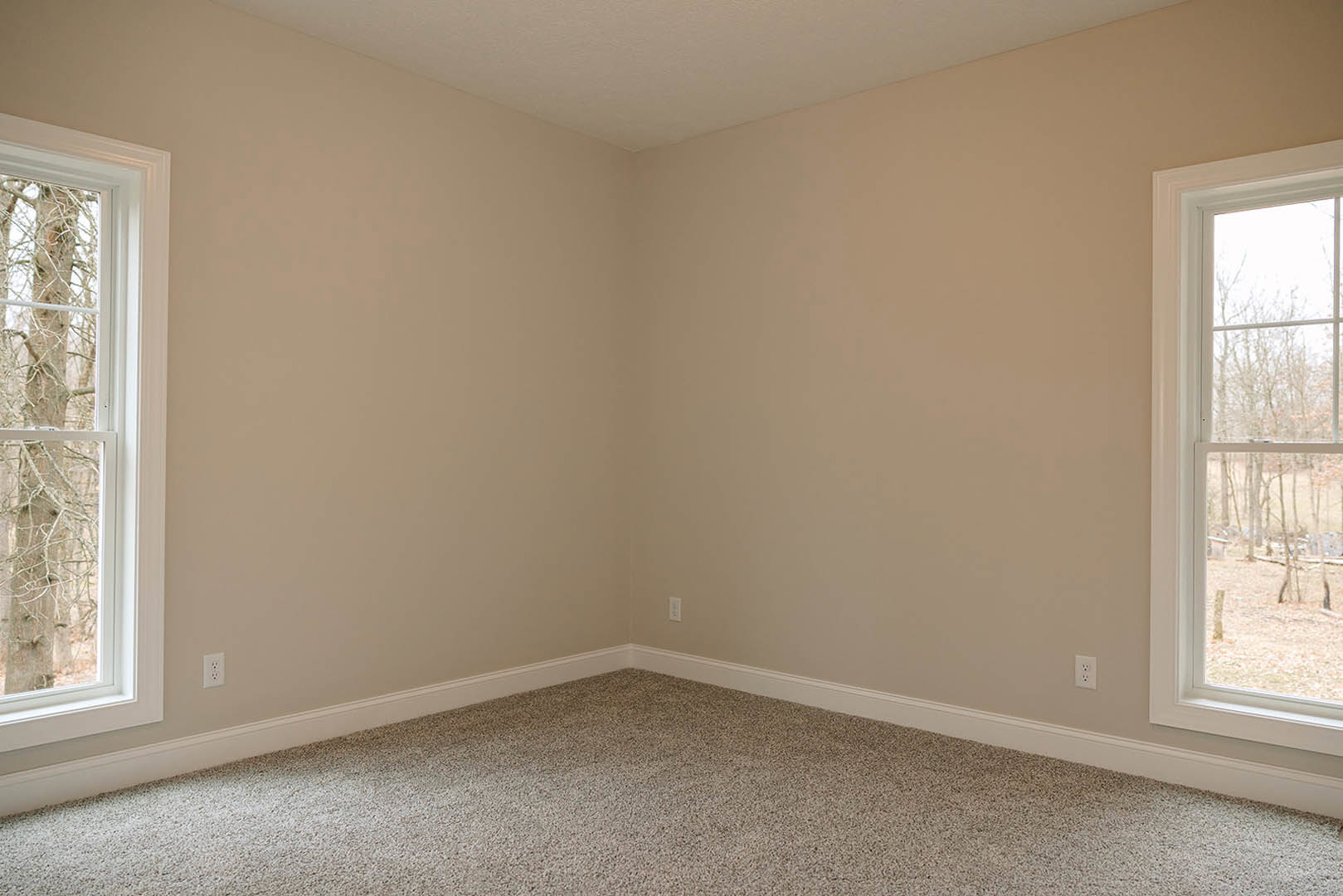 Beige walls and carpeted floor with white baseboards, large window framing leafy trees outside, natural light highlighting neutral finishes