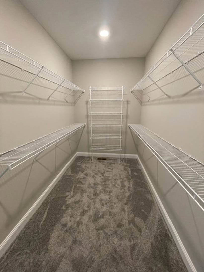 Empty closet with white wire shelves, carpeted floor, plaster walls, and ceiling light fixture.