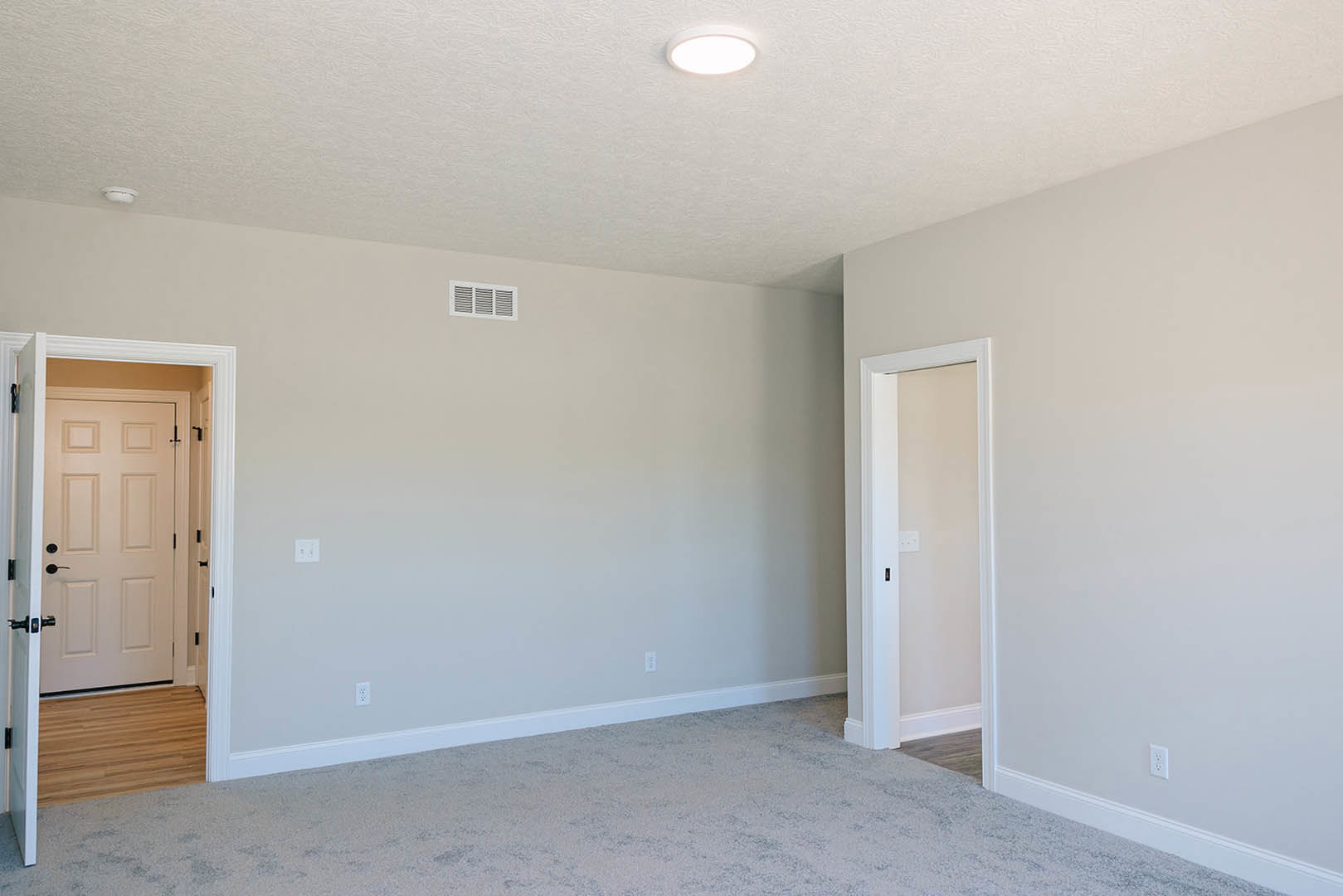 White paneled door with black handles and adjacent light switch, wood flooring partially covered by white carpet, circular ceiling light, close-up of white wall vent.
