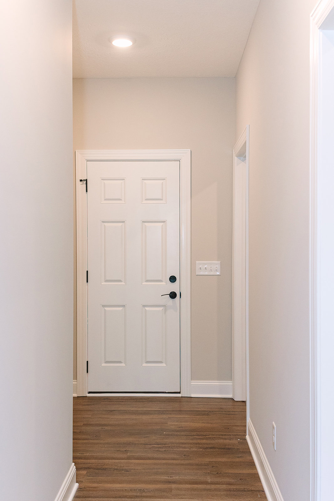 White door with black handle set in a hallway with wood flooring, white walls, ceiling light fixture, and a close-up of a wall switch.