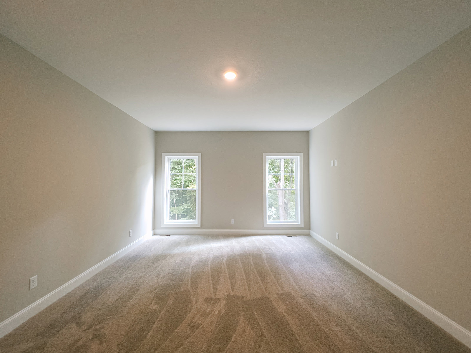 Carpeted room with two rectangular windows framed by white molding, ceiling-mounted light fixture, plaster walls, view of green trees outside