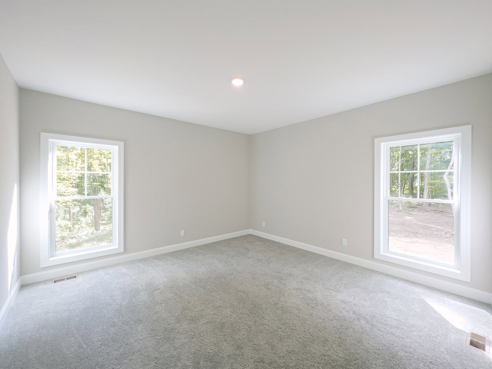 Carpeted room with white walls, large windows showing trees outside, ceiling light fixture, simple molding along baseboards