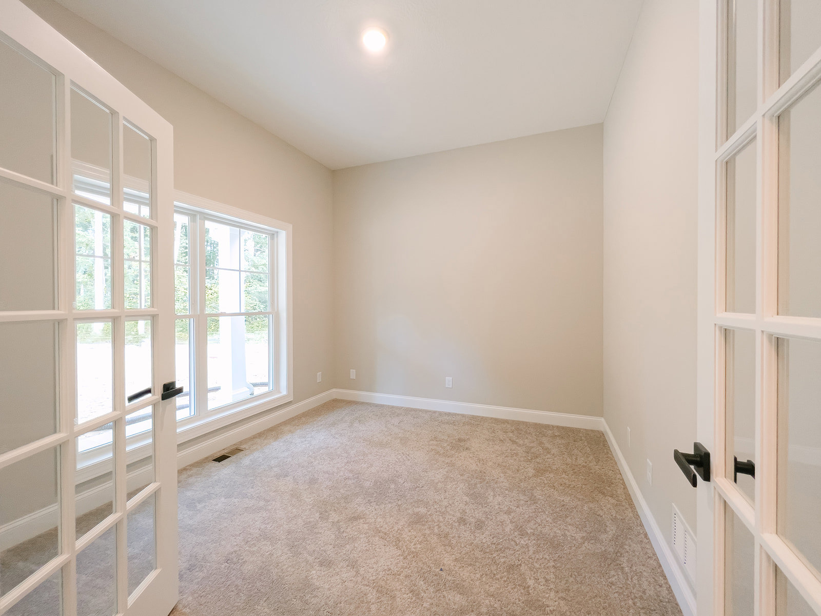 Carpeted room with white walls, white-framed window, white door with glass panes, ceiling light fixture, and crown molding