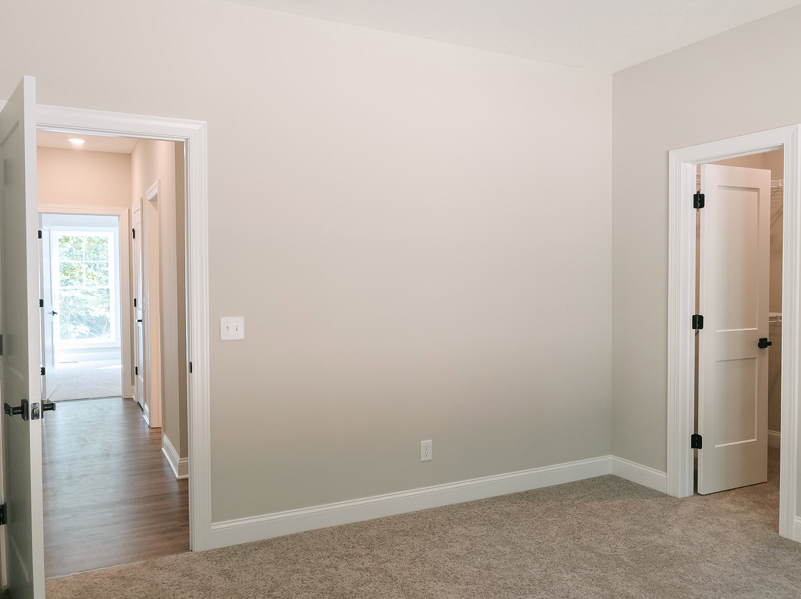 White paneled door with black hinges and glass window, light switch on pale wall, beige carpeted floor, open doorway leading to adjacent room