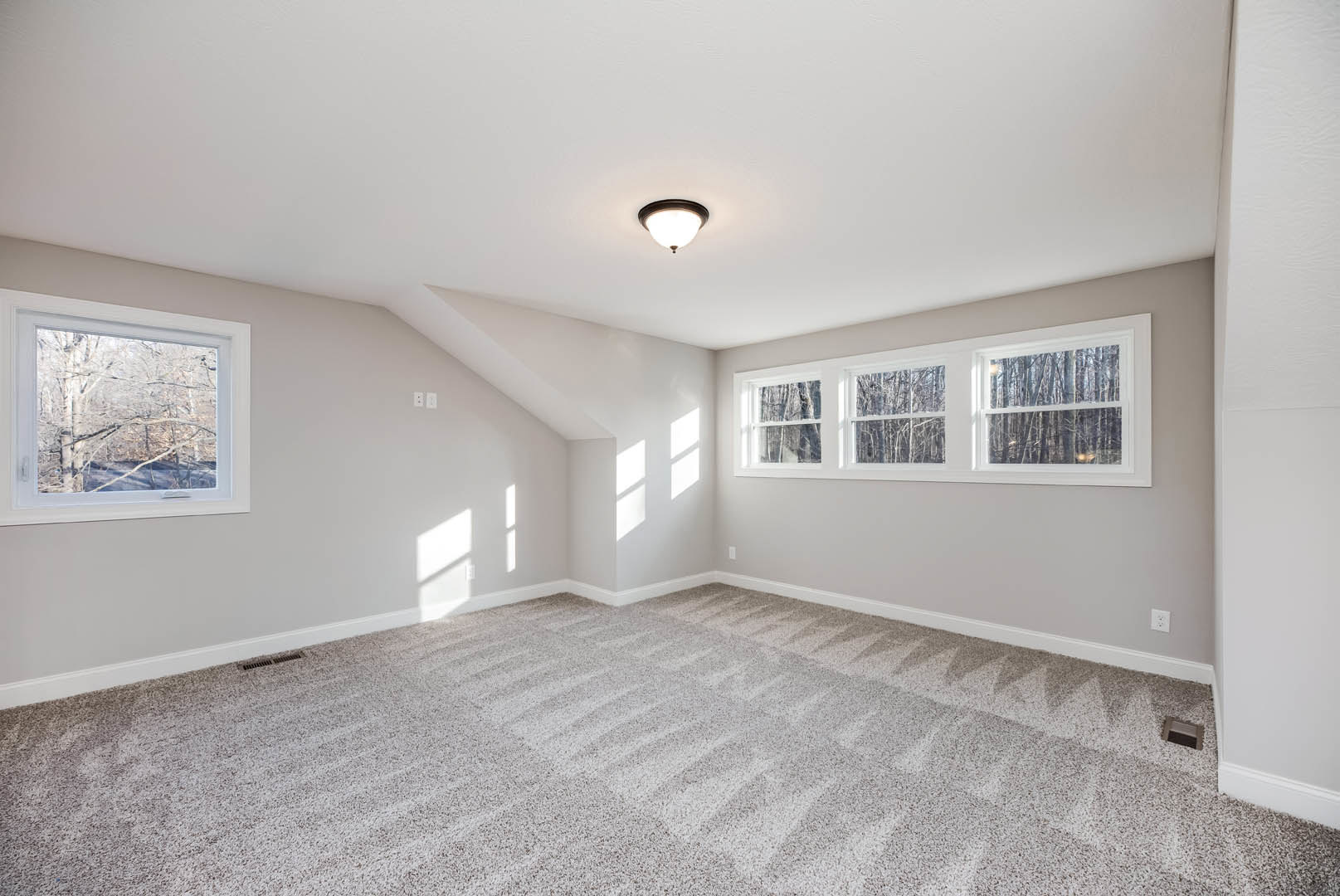 Carpeted room with white walls, large windows overlooking trees, ceiling light fixture