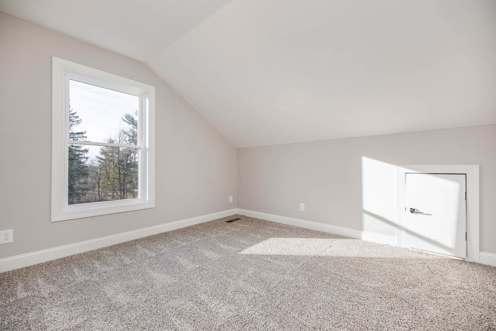 Carpeted room with white paneled door, large window overlooking snowy tree branches, light-colored walls, and ceiling molding