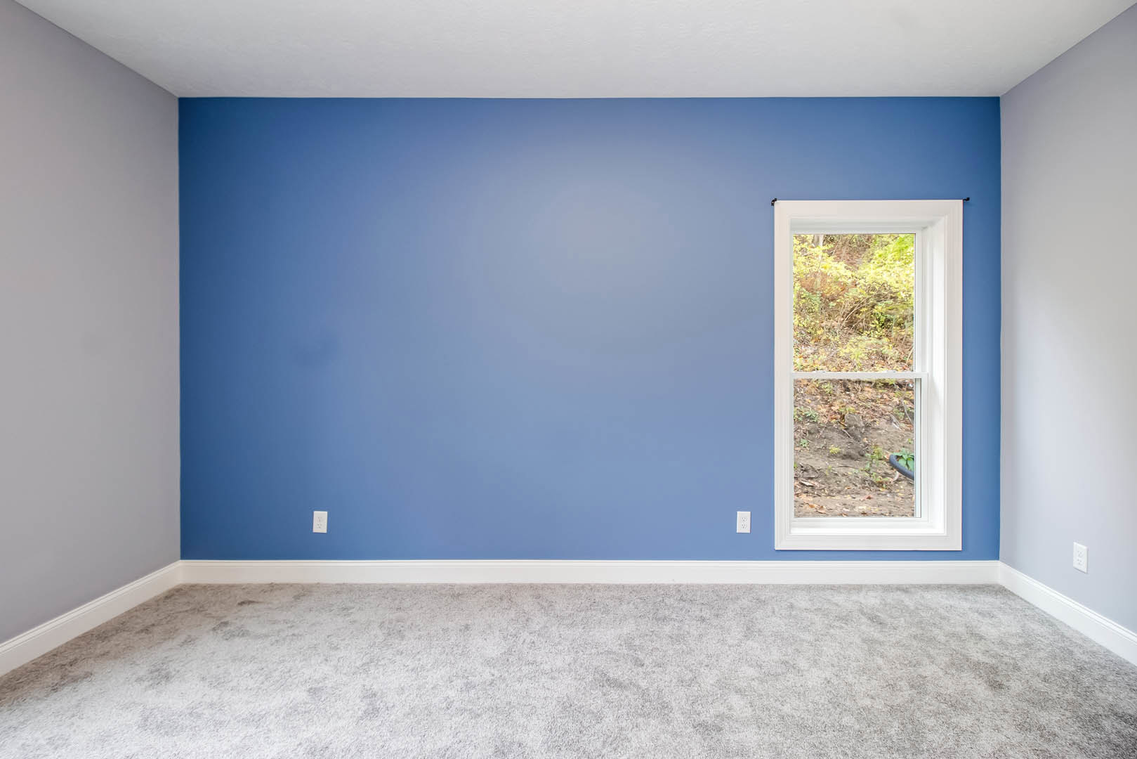 Blue accent wall with large window overlooking forest, plush gray carpet flooring, white ceiling, natural light illuminating modern interior.